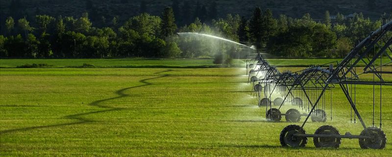 Mist Irrigation Installation in Honolulu, HI